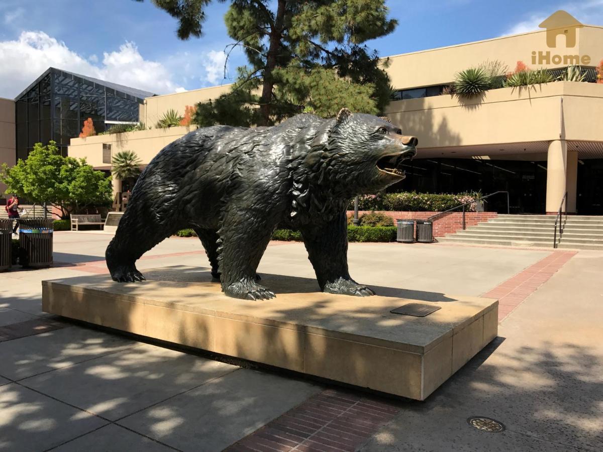 Perfect Apt Near Ucla W Parking Gym Pool Wifi In Westwood B3 로스앤젤레스 외부 사진